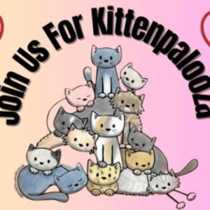 Kittenpalooza May 3rd